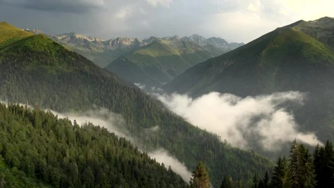 Video Stock Clouds Forming In The Mountain Forest Live Wallpaper For PC - Free Live Wallpaper