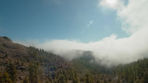 Video Stock Clouds Creeping Over A Forest Live Wallpaper For PC - Free Live Wallpaper