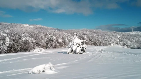 Stock Video Deep Snow Covering The Countryside Live Wallpaper For PC - Free Live Wallpaper