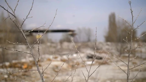 Stock Video Dead Plants At A Landfill Live Wallpaper For PC - Free Live Wallpaper