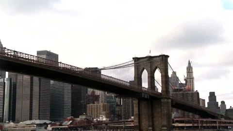 Stock Video Daytime In Brooklyn Live Wallpaper For PC - Free Live Wallpaper