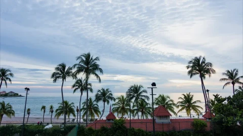 Stock Video Darkness Setting In On A Tropical Beach Live Wallpaper For PC - Free Live Wallpaper
