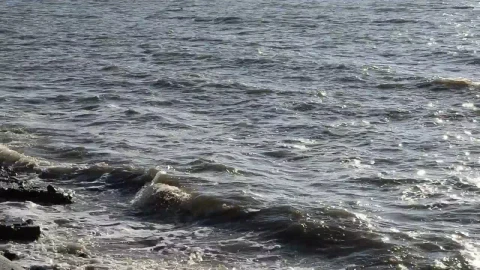 Stock Video Dark Waters Along The Shore Live Wallpaper For PC - Free Live Wallpaper