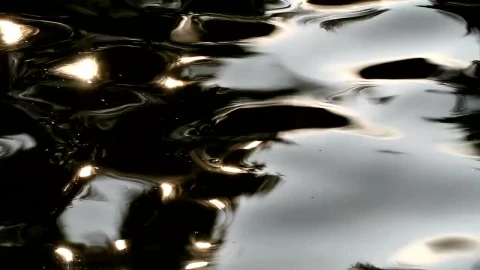 Stock Video Dark Surface Of A Lake Live Wallpaper For PC - Free Live Wallpaper