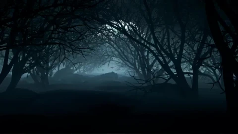 Stock Video Dark Forest On A Night With A Full Moon For Live Wallpaper For PC - Free Live Wallpaper