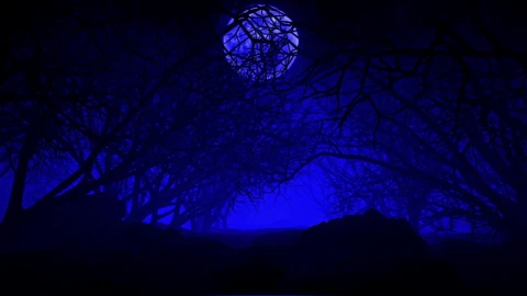 Stock Video Dark Dry Tree Forest In D Under A Big Moon Live Wallpaper For PC - Free Live Wallpaper