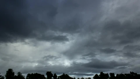 Stock Video Dark Clouds Passing Over A Forest Live Wallpaper For PC - Free Live Wallpaper