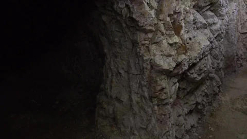 Stock Video Dark Cave Entrance Live Wallpaper For PC - Free Live Wallpaper