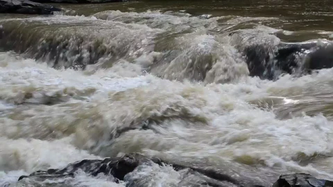 Stock Video Dangerous River Flowing Quickly Live Wallpaper For PC - Free Live Wallpaper
