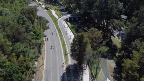 Stock Video Cyclists Going Through An Avenue Live Wallpaper For PC - Free Live Wallpaper