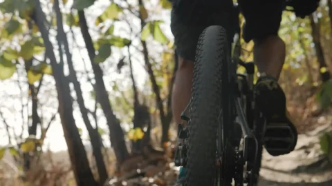 Stock Video Cyclist Traveling Through A Forest Seen From The Back Wheel Live Wallpaper For PC - Free Live Wallpaper