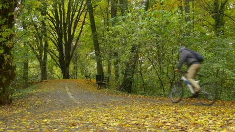 Stock Video Cyclist Pedaling On A Park Road Live Wallpaper For PC - Free Live Wallpaper