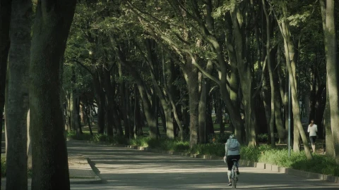 Stock Video Cyclist In The Park Live Wallpaper For PC - Free Live Wallpaper
