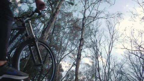 Stock Video Cyclist Going Up A Slope In A Forest Live Wallpaper For PC - Free Live Wallpaper