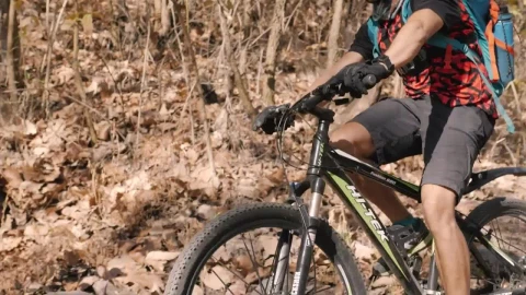 Stock Video Cyclist Crossing A Wooden Bridge In A Forest Live Wallpaper For PC - Free Live Wallpaper