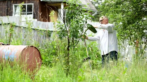 Stock Video Cutting Down Tall Grass Live Wallpaper For PC - Free Live Wallpaper