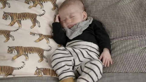 Stock Video Cute Baby Sleeping On A Couch Live Wallpaper For PC - Free Live Wallpaper