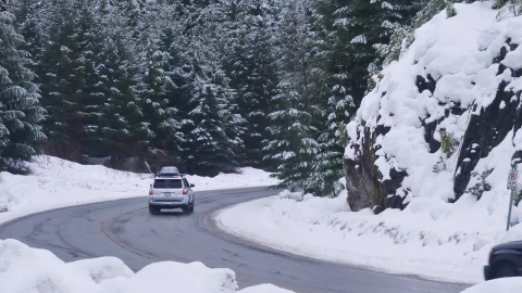 Stock Video Curve On A Snowy Forest Road Live Wallpaper For PC - Free Live Wallpaper