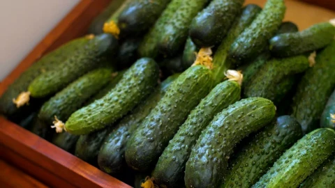 Stock Video Cucumbers In A Farmers Market Live Wallpaper For PC - Free Live Wallpaper