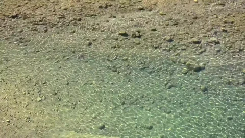 Stock Video Crystalline Water Reflections Live Wallpaper For PC - Free Live Wallpaper