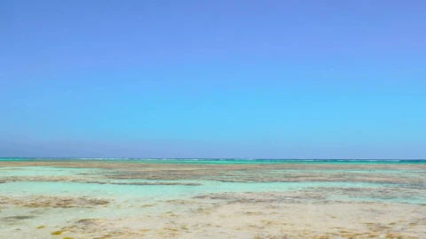 Stock Video Crystal Clear Waters Along The Beach Live Wallpaper For PC - Free Live Wallpaper