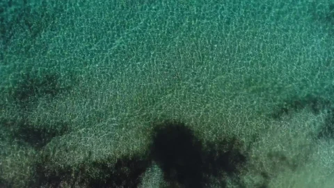 Stock Video Crystal Clear Sea Water Seen From Above Live Wallpaper For PC - Free Live Wallpaper