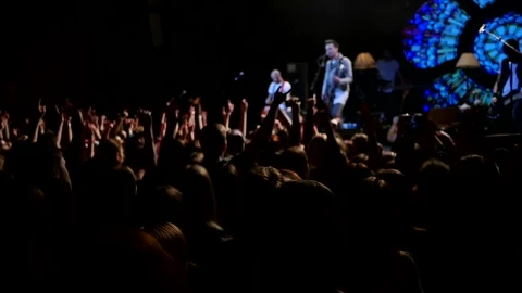 Stock Video Crowd Jumping At A Music Concert Live Wallpaper For PC - Free Live Wallpaper