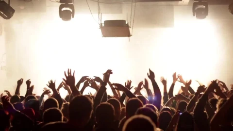 Stock Video Crowd Clapping In In A Music Concert Live Wallpaper For PC - Free Live Wallpaper