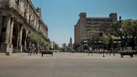 Stock Video Crosswalk In The City Live Wallpaper For PC - Free Live Wallpaper