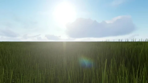 Stock Video Crossing A Meadow In Spring Live Wallpaper For PC - Free Live Wallpaper