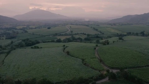 Stock Video Crop Fields At Sunrise Live Wallpaper For PC - Free Live Wallpaper