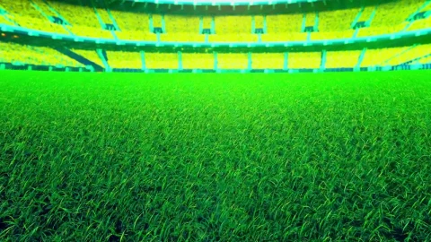 Stock Video Cricket Court In A Stadium Live Wallpaper For PC - Free Live Wallpaper