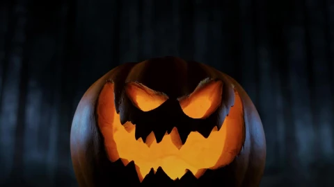 Stock Video Creepy Halloween Pumpkin In Dark Cloud Forest Live Wallpaper For PC - Free Live Wallpaper