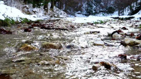 Stock Video Creek In A Snowy Forest In Slow Motion Live Wallpaper For PC - Free Live Wallpaper