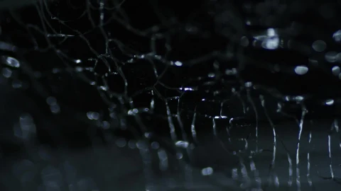Stock Video Cracked Glass Like Texture In Motion Live Wallpaper For PC - Free Live Wallpaper