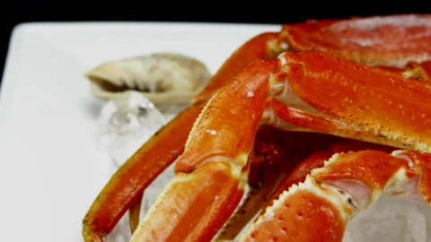 Stock Video Crab Legs On Ice Live Wallpaper For PC - Free Live Wallpaper