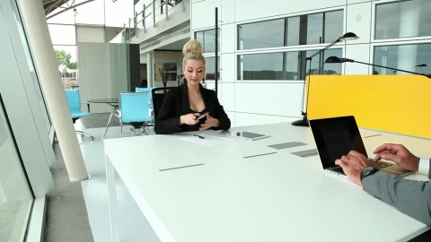 Stock Video Coworkers Sharing Desk At Office Live Wallpaper For PC - Free Live Wallpaper