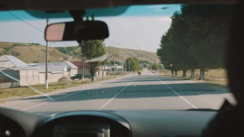 Stock Video Cow Blocking The Road Live Wallpaper For PC - Free Live Wallpaper