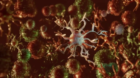 Stock Video Covid  Floating Microscopic Virus Animation Live Wallpaper For PC - Free Live Wallpaper