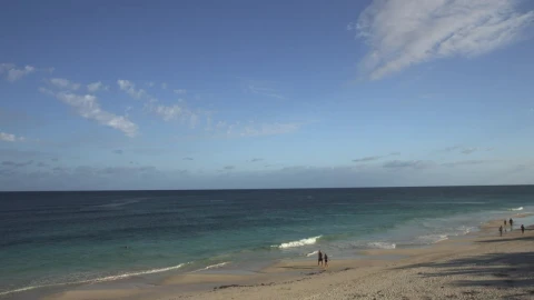Stock Video Couples Walking By The Ocean Live Wallpaper For PC - Free Live Wallpaper