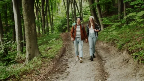 Stock Video Couple Walks Through The Woods Live Wallpaper For PC - Free Live Wallpaper