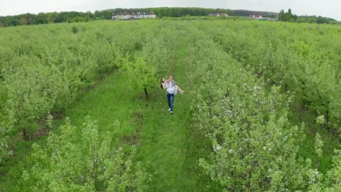 Stock Video Couple Walking Through An Orchard Live Wallpaper For PC - Free Live Wallpaper