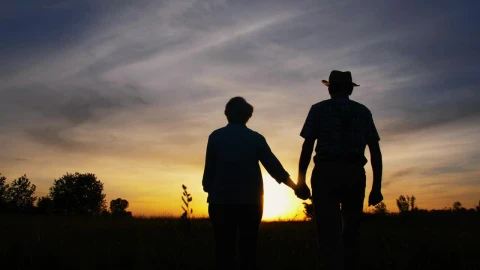 Stock Video Couple Walking Through A Meadow At Sunset Live Wallpaper For PC - Free Live Wallpaper