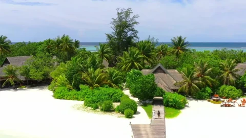 Stock Video Couple Walking On The Pier Live Wallpaper For PC - Free Live Wallpaper