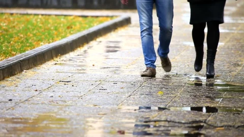 Stock Video Couple Walking On A Rainy Day Low View Live Wallpaper For PC - Free Live Wallpaper