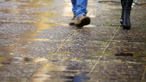 Stock Video Couple Walking On A Rainy Day Live Wallpaper For PC - Free Live Wallpaper