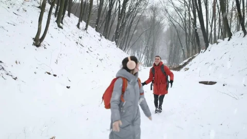 Stock Video Couple Walking Happily Through A Forest While Snowing Live Wallpaper For PC - Free Live Wallpaper