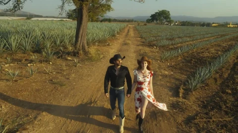 Stock Video Couple Walking Hand In Hand Through A Ranch Live Wallpaper For PC - Free Live Wallpaper