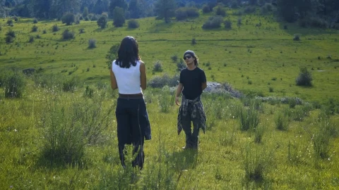 Stock Video Couple Taking Photos During A Road Trip In Nature Live Wallpaper For PC - Free Live Wallpaper