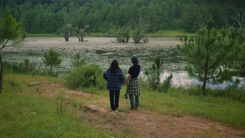 Stock Video Couple Taking A Selfie At A Lake In Nature Live Wallpaper For PC - Free Live Wallpaper